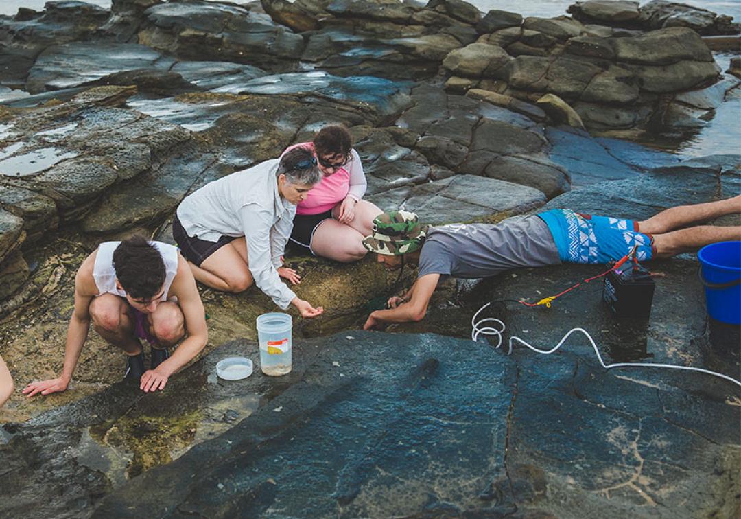 Students on excursion to the beach look at rock pools.