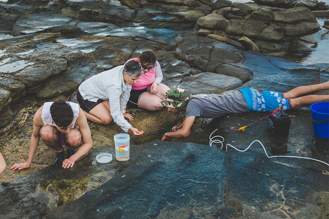 Students on excursion to the beach look at rock pools.