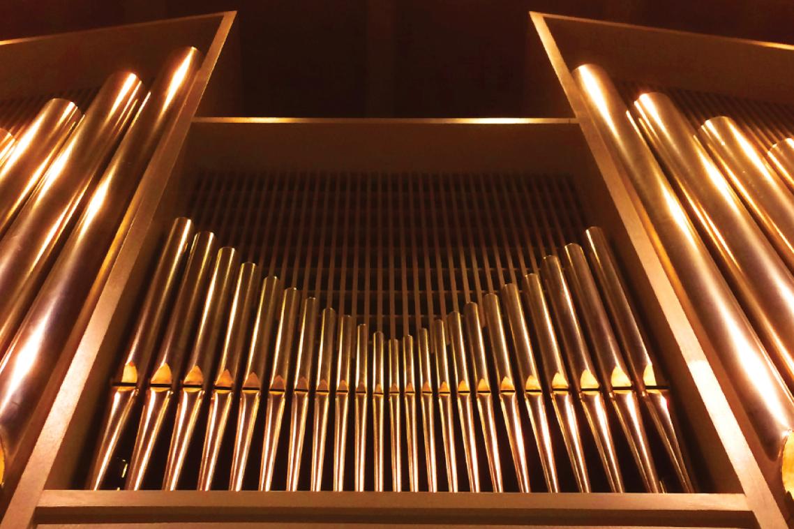 UQ Organ